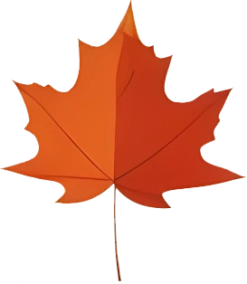 rendy Foliage Design, Leaf PNG Download, Tropical different type exotic leaves set_8.webp